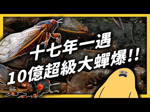 蟬徵兆