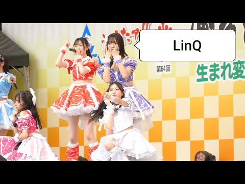 動画のタイトルなど