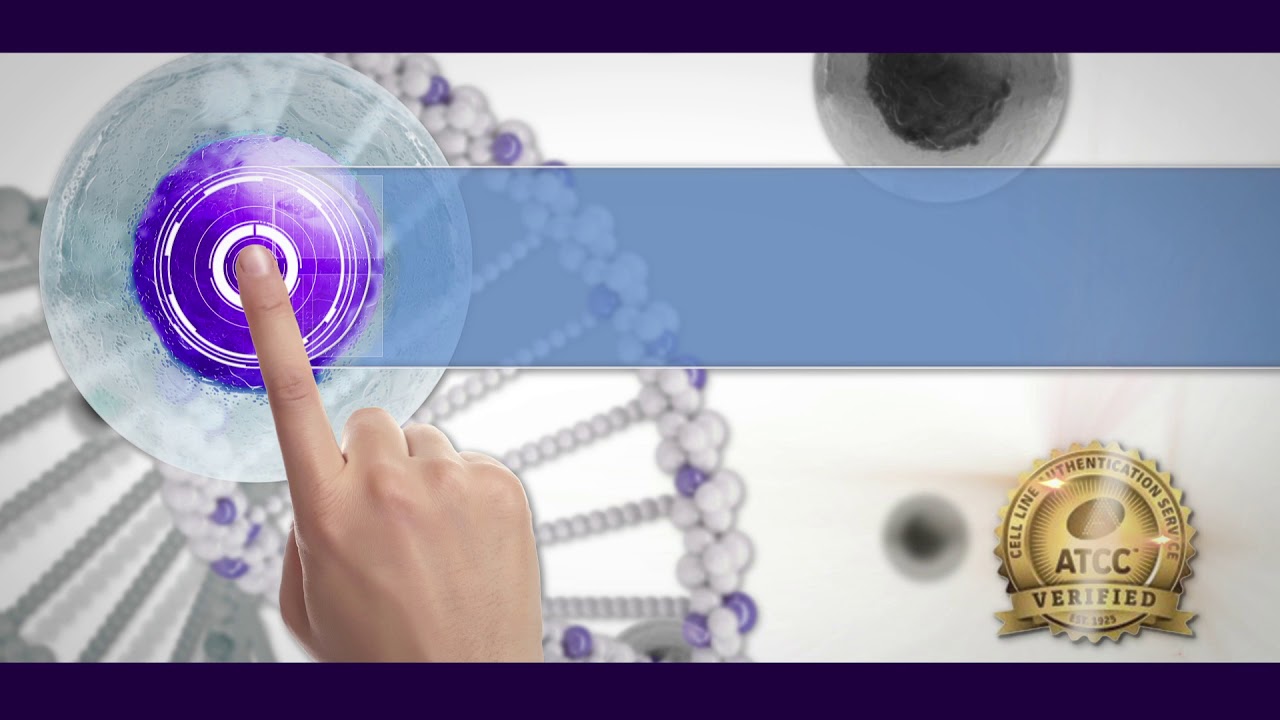 ATCC STR Promotional Video HD