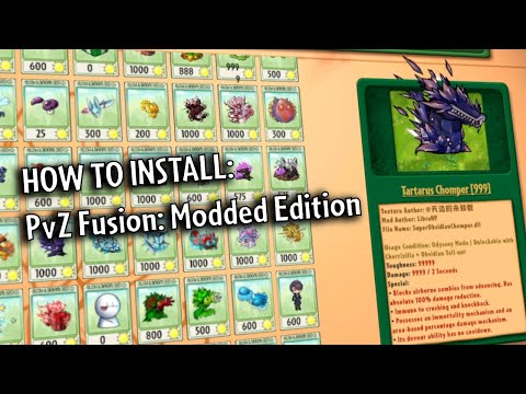 Youtube Video Tutorial