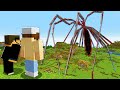 I Trapped Friends With An ARACHNOPHOBIA Mod In Minecraft