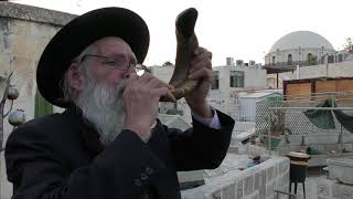 Shofar Blowing for Rosh Hashana