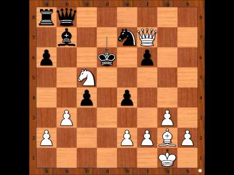 Aleksandar H Wohl v Aivars Gipslis - Biel 1996