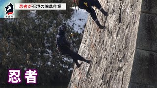 2月10日【びわ湖放送ニュース】石垣に甲賀忍者・・・水口城跡で除草作業