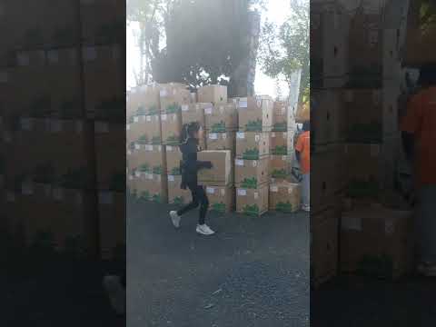 Vận chuyển hàng hóa Sài Gòn đi Đà Lạt và Cần Thơ | 0985 119 668