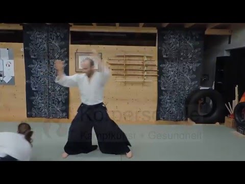 Aikido Slowmotion - The Beauty of Aikido - The Flow and Dynamic of Movement