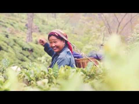 Schlürf goes Darjeeling