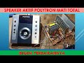 How To Fix Polytron Active Speakers Totally Dead