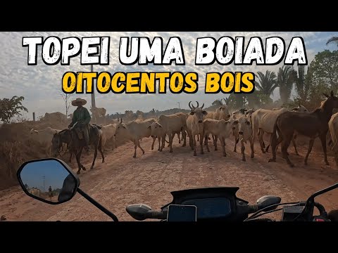 EP-53 ISSO AINDA SE VÊ NO MATO GROSSO  - Município de Colniza