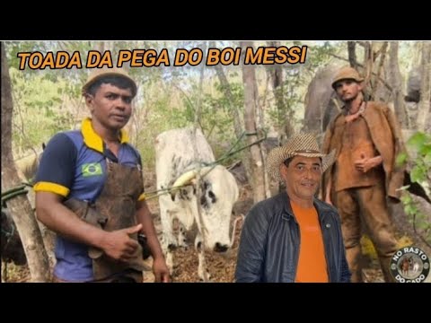 TOADA DA PEGA DO BOI MESSI - FEAT ALON ZOA 