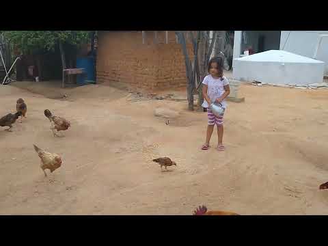 Lorena sítio vovó Dalva várzea branca PI 