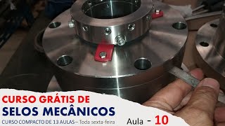 Aula 10 - CURSO COMPACTO DE SELOS MECÂNICOS - 13 aulas de explicações interessantes e bem aplicáveis