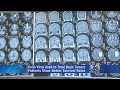 Polio Virus Being Used To Treat Brain Tumors