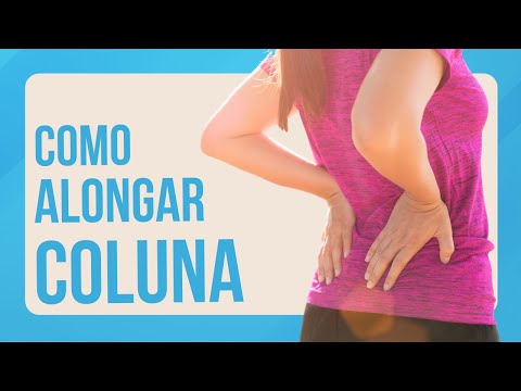 HOW TO STRETCH YOUR SPINE Sitting in a Chair | Easy Stretches | Level 1 \ Exercises for Seniors