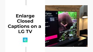 Enlarge Closed Captions on an LG TV (Make them Bigger)