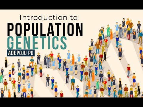 Introduction to population genetics