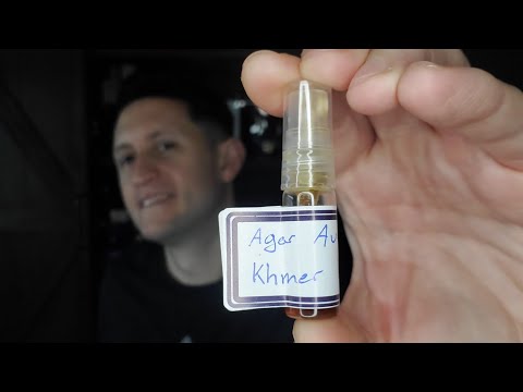 Agar Aura Khmer Kinam (2021) Early Impression #agaraura #oud #agarwood #indieperfume