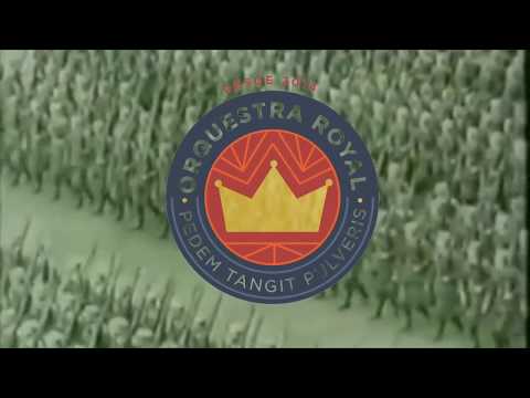 Bolsomico video