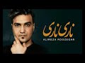 Alireza Roozegar Nari Nari علیرضا روزگار ناری ناری