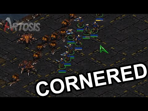 Immense Patience - KCM Race Survival B Series - Week 8 G5