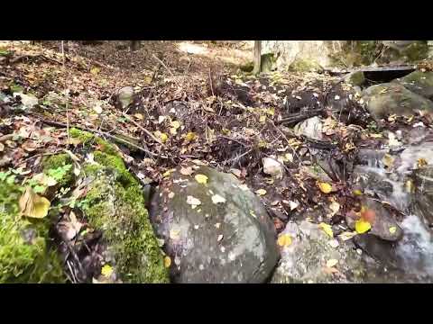 С.Раштак Скопска Црна Гора (Сарачево)