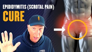 Epididymitis (Scrotal Pain) Treatment and Cure