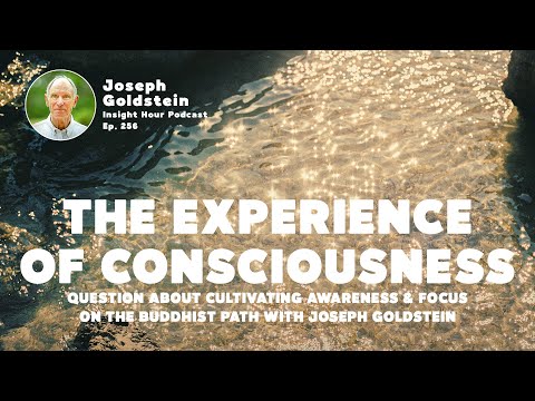 Cultivating Awareness & Focus On the Buddhist Path with Joseph Goldstein | Insight Hour Ep. 256