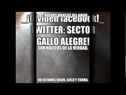 AXEL   BONILLA -VERDAD LA LA.