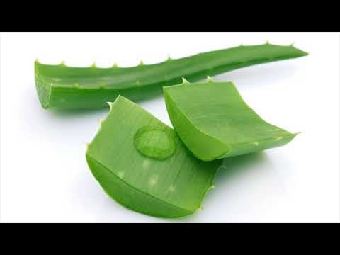 download lagu mp3 mp4 Aloe Vera For Sprains, download lagu Aloe Vera For Sprains gratis, unduh video klip Aloe Vera For Sprains