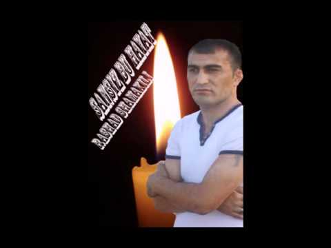 Rashad Shamaxili Sansiz bu hayat