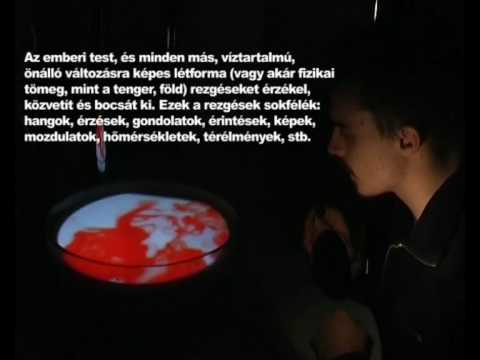 Sonovisor Installáció, Lovas Dáviddal