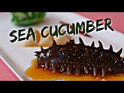 SEA CUCUMBER RECIPE  #seacucumberrecipe #shorts #cooking