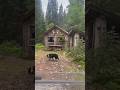 Remote Off Grid Trappers Cabin: Escaping Civilization #offgridliving #offgridcabin #cabinlife