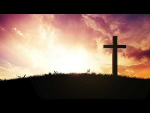 Tu Ne-ai Adus Iubirea