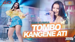 Download lagu Dini Kurnia - Tombo Kangene Ati mp3