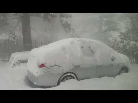 Flagstaff Snow Jan 25, 2021