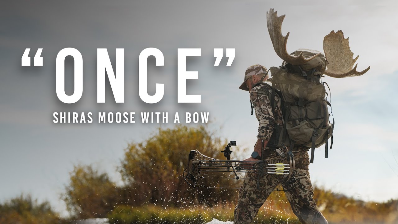 Once — A Shiras Moose Bowhunt