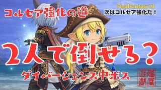 【FFXI】二人で倒せる？ダイバージェンス中ボス【FF11】