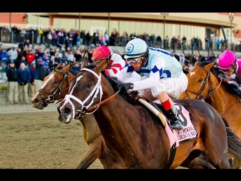 2013 Wood Memorial Replay