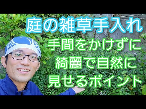 旧暦: 2022 年 8 月の月を使ってガーデニングをするには?  庭園