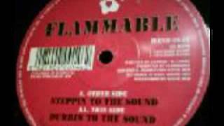 Flammable - Steppin into the Sound