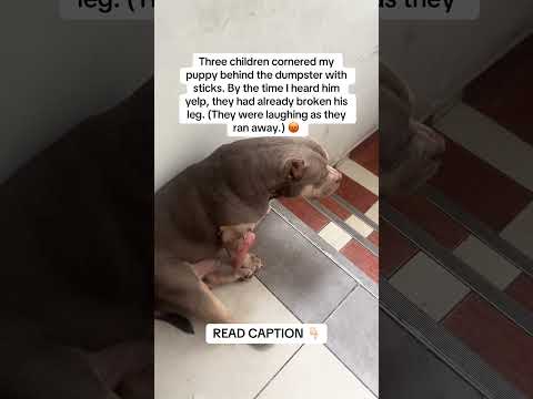 READ CAPTION👇🏻