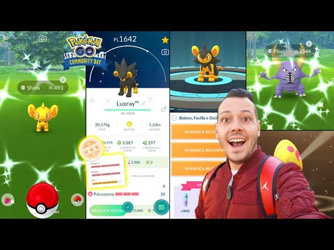 SHINY 96%! COMMUNITY DAY SHINX - Pokémon GO
