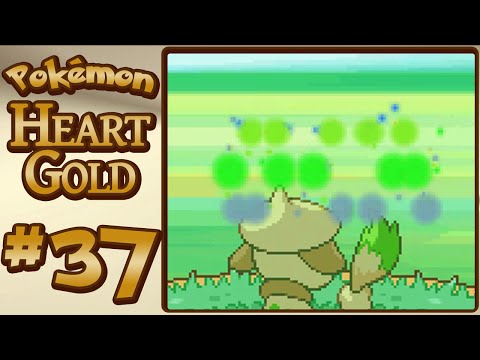 Pokémon HeartGold :: Ep. 37 :: Legendary Training!