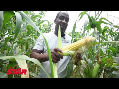 Kern Spencer takes giant leap into agriculture