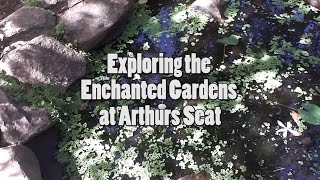 Exploring The Enchanted Adventure Gardens  AmbiBam