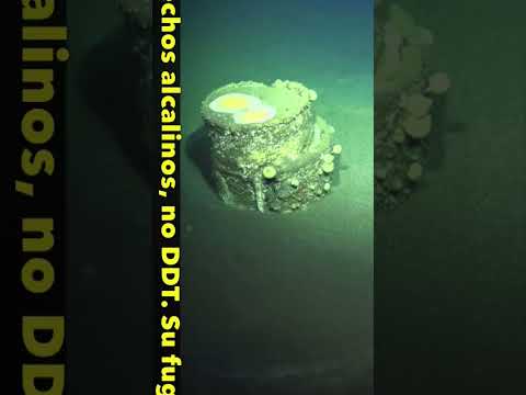 🌊Misterio resuelto  los halos tóxicos del océano #ciencia #shorts