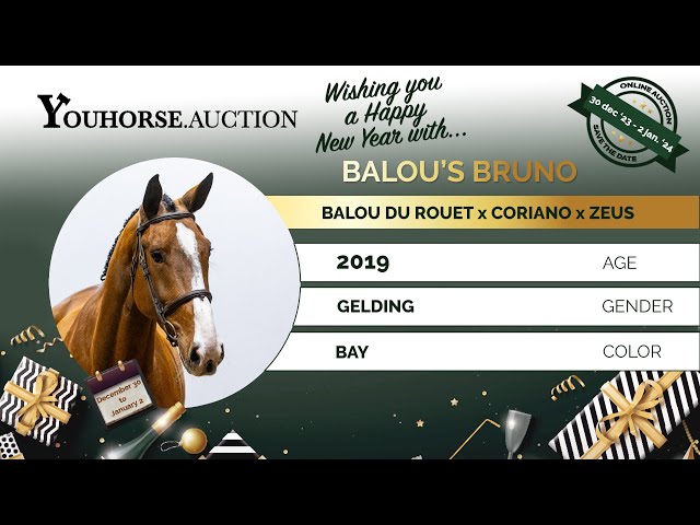 Balou's Bruno traininsvideo