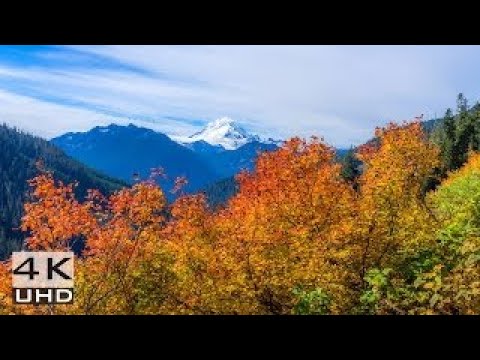 Beautiful Washington, Episode-5, in 4K (UHD), TRAILER