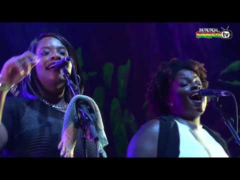 ZIGGI RECADO live @ Main Stage 2016